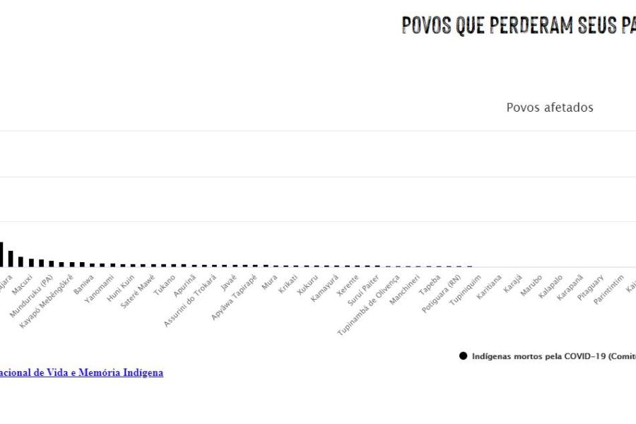 Gráfico mostra mortes entre os povos indígenas brasileiros 