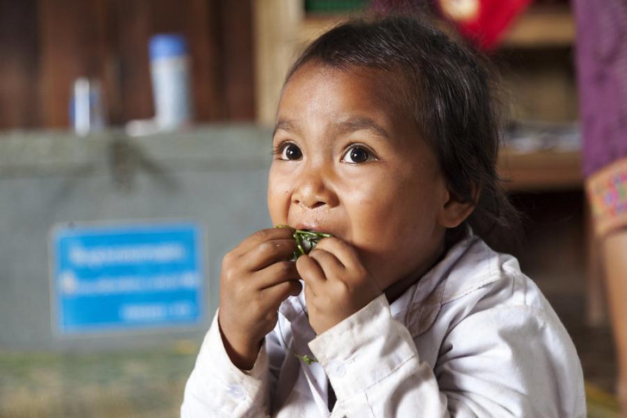 Em áreas rurais pobres do Laos a merenda escolar é responsável por 1/3 das necessidades nutricionais diárias