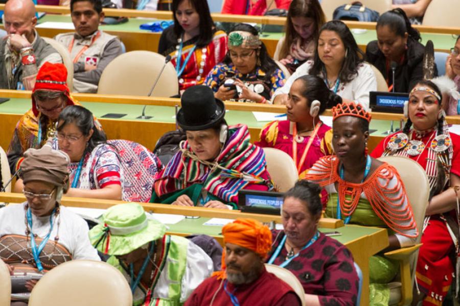Participantes no fórum permanente sobre indígenas da ONU