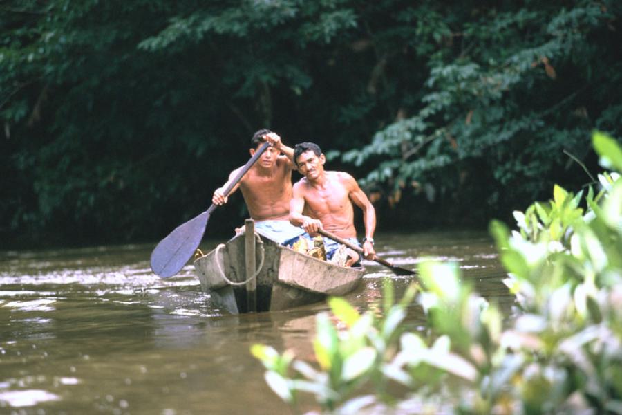 índio canoa amazonas