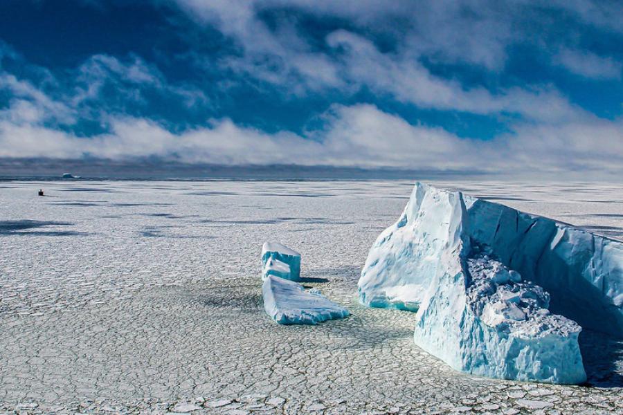 Icebergs no mar de Bellingshausen, na Antártica.