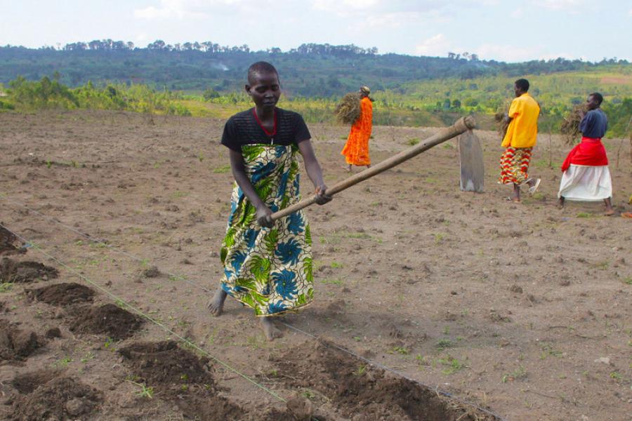 Mulheres no Burundi cobrem o solo com enxadas em preparação para o plantio