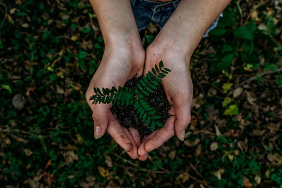 proteção ambiental