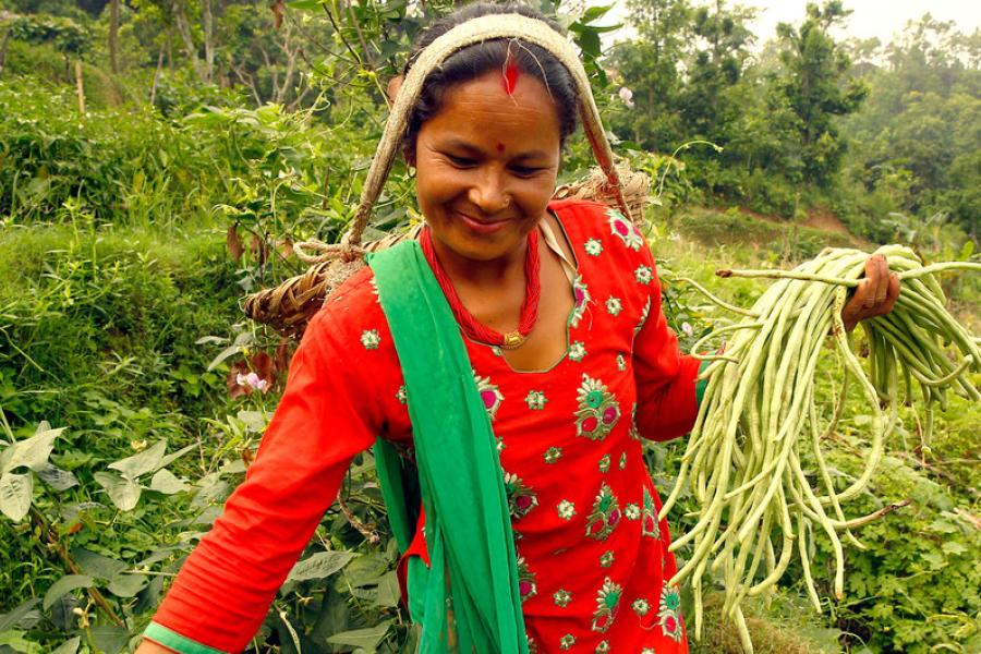 mulheres agricultoras no nepal