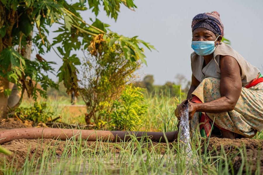 Melhorar os sistemas de irrigação nos países em desenvolvimento apoia os meios de subsistência