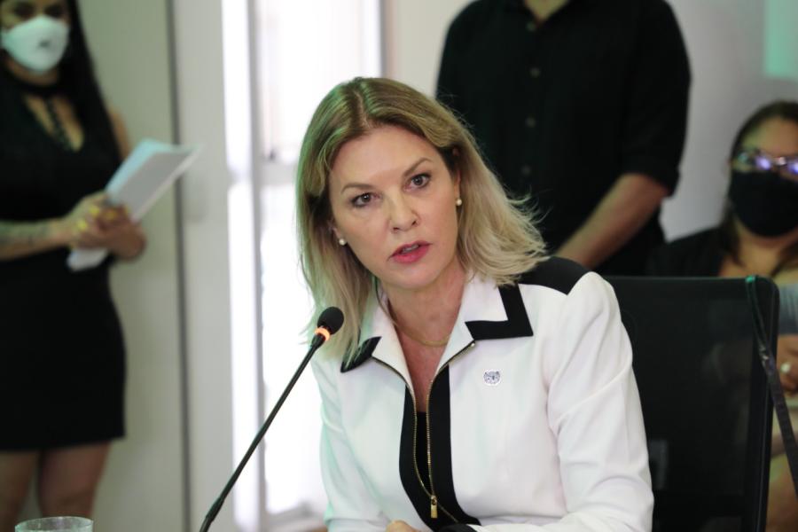 Coordenadora residente da ONU no Brasil, Silvia Rucks