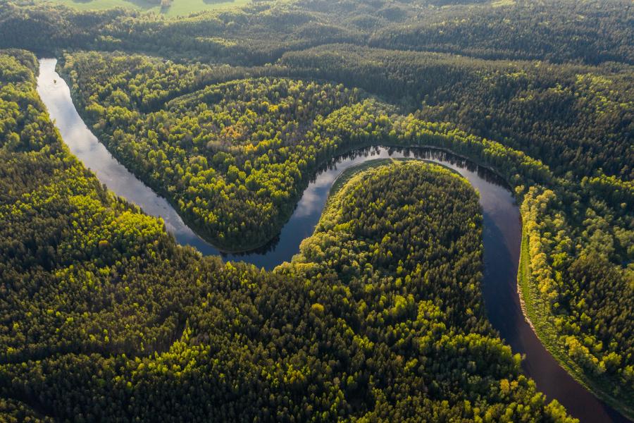 Banco Mundial pede esforços dobrados sobre desenvolvimento e clima