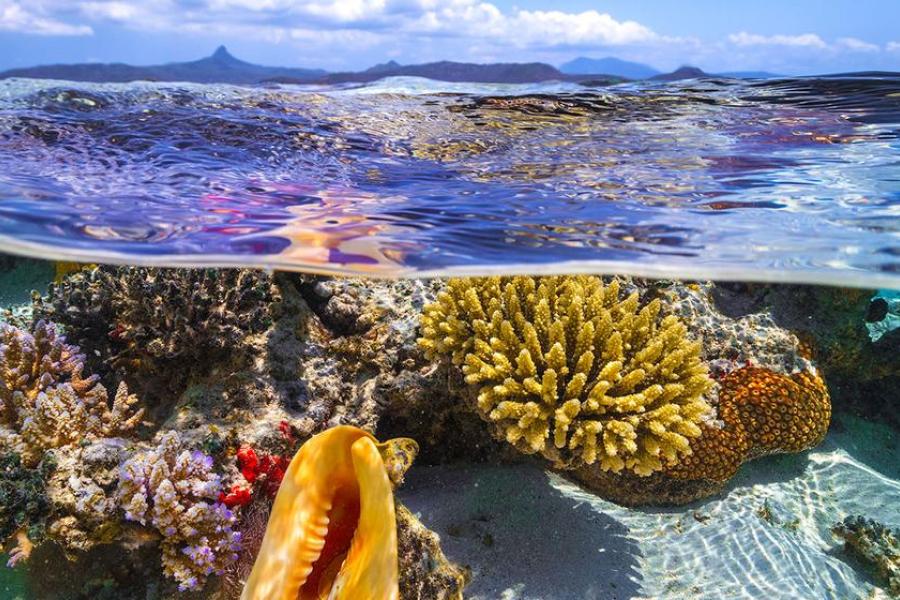 As águas rasas da Ilha de Mayotte, no Oceano Índico