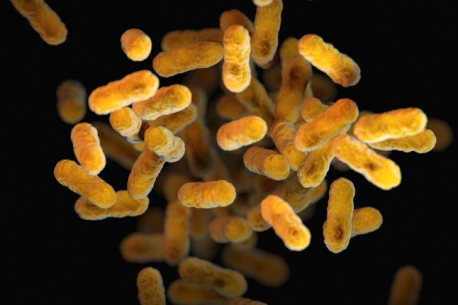 Imagem de micróbios gerada por computador