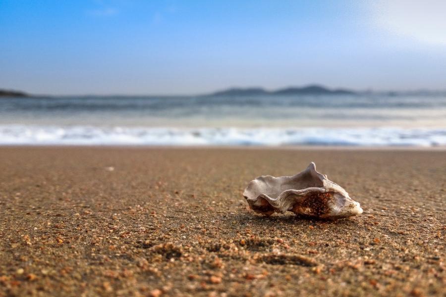 Extração e gestão de areia como um recurso natural deve ser revista, segundo o PNUMA