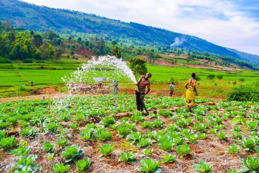 Clima europeu toma conta de Campo Grande e surpreende moradores - O Estado  Online