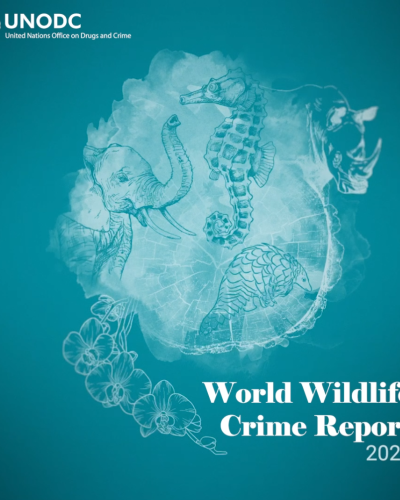 Relatório Global sobre a Vida Selvagem e os Crimes Florestais 2024